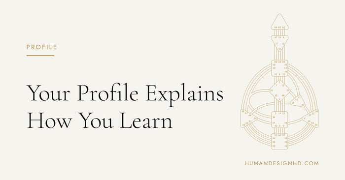 Your Profile Explains How You Learn. Human Design HD.