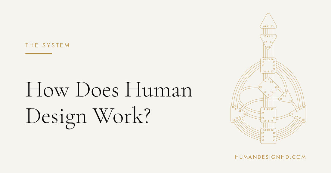 How Does Human Design Work? The System Behind the Chart. Human Design HD.