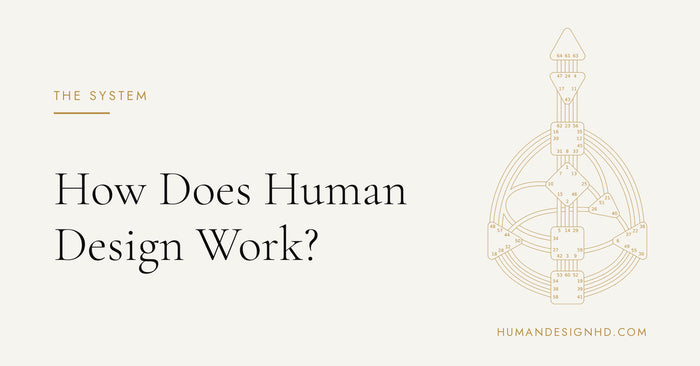 How Does Human Design Work? The System Behind the Chart. Human Design HD.