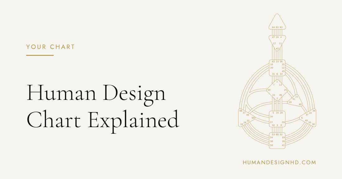 Human Design Chart Explained. Human Design HD.