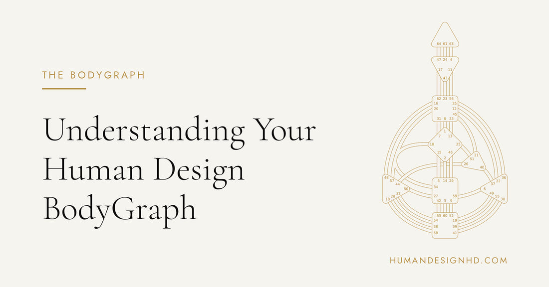 Understanding Your Human Design BodyGraph. Human Design HD.