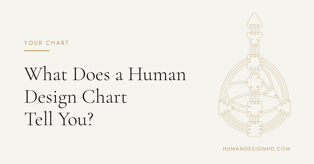 What Does a Human Design Chart Tell You? Beginner Guide. Human Design HD.