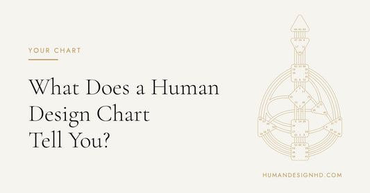 What Does a Human Design Chart Tell You? Beginner Guide. Human Design HD.