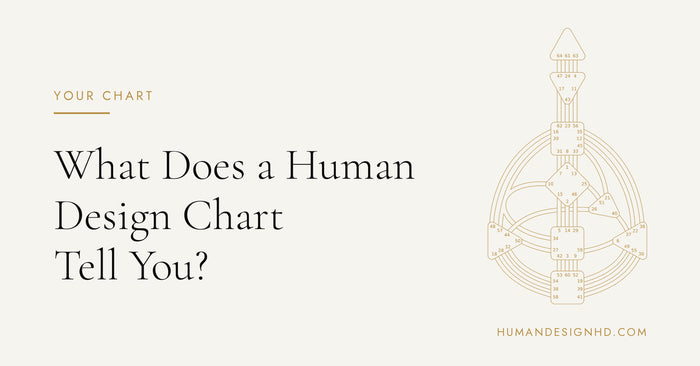 What Does a Human Design Chart Tell You? Beginner Guide. Human Design HD.