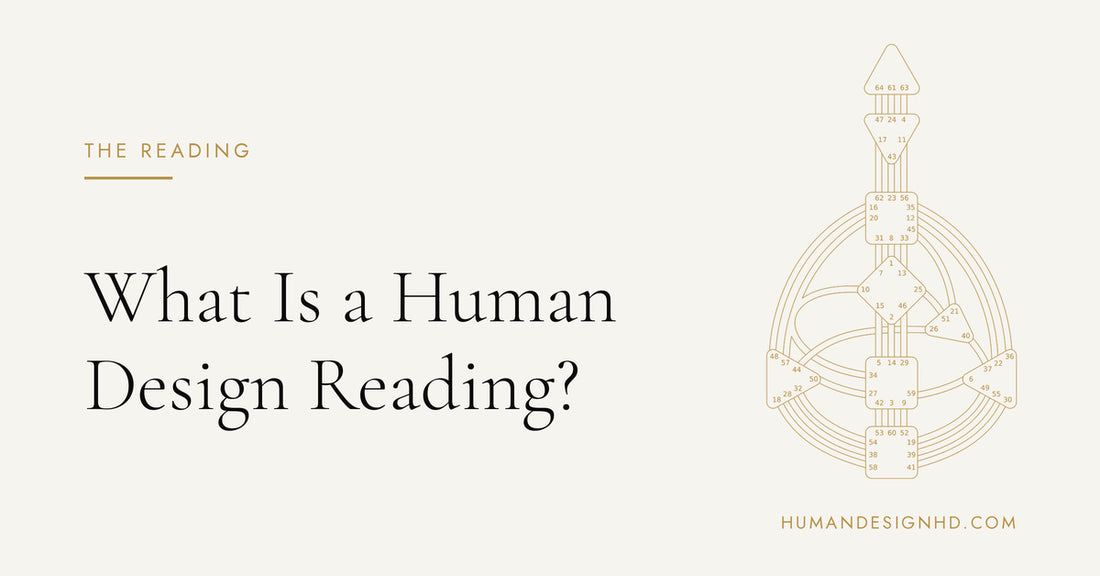 What Is a Human Design Reading? Everything You Need to Know. Human Design HD.