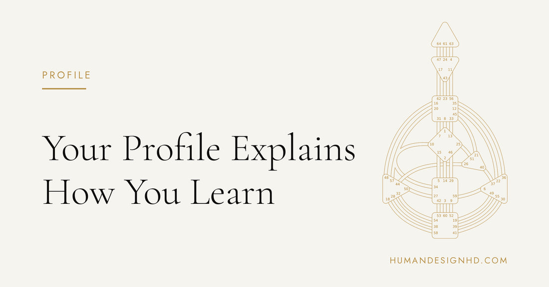 Your Profile Explains How You Learn. Human Design HD.