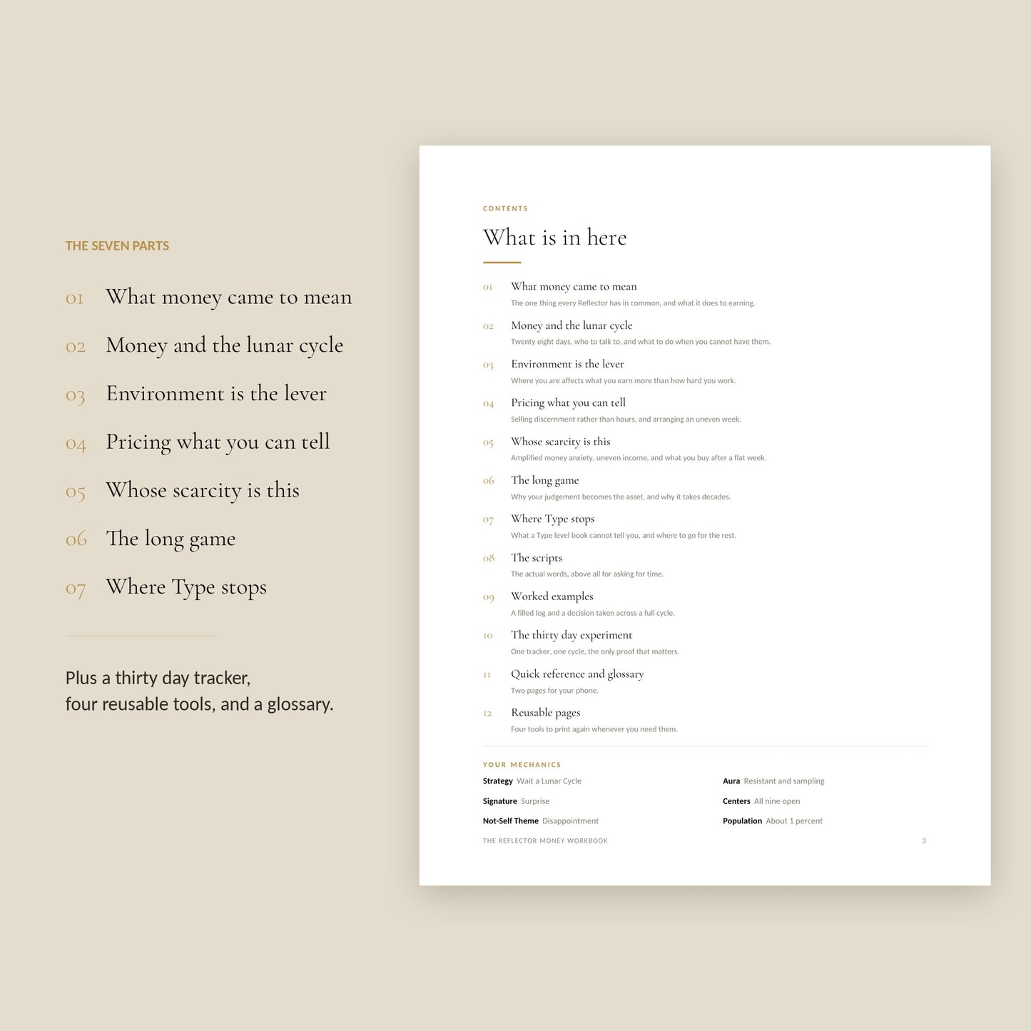 Human Design Reflector Money Workbook, contents