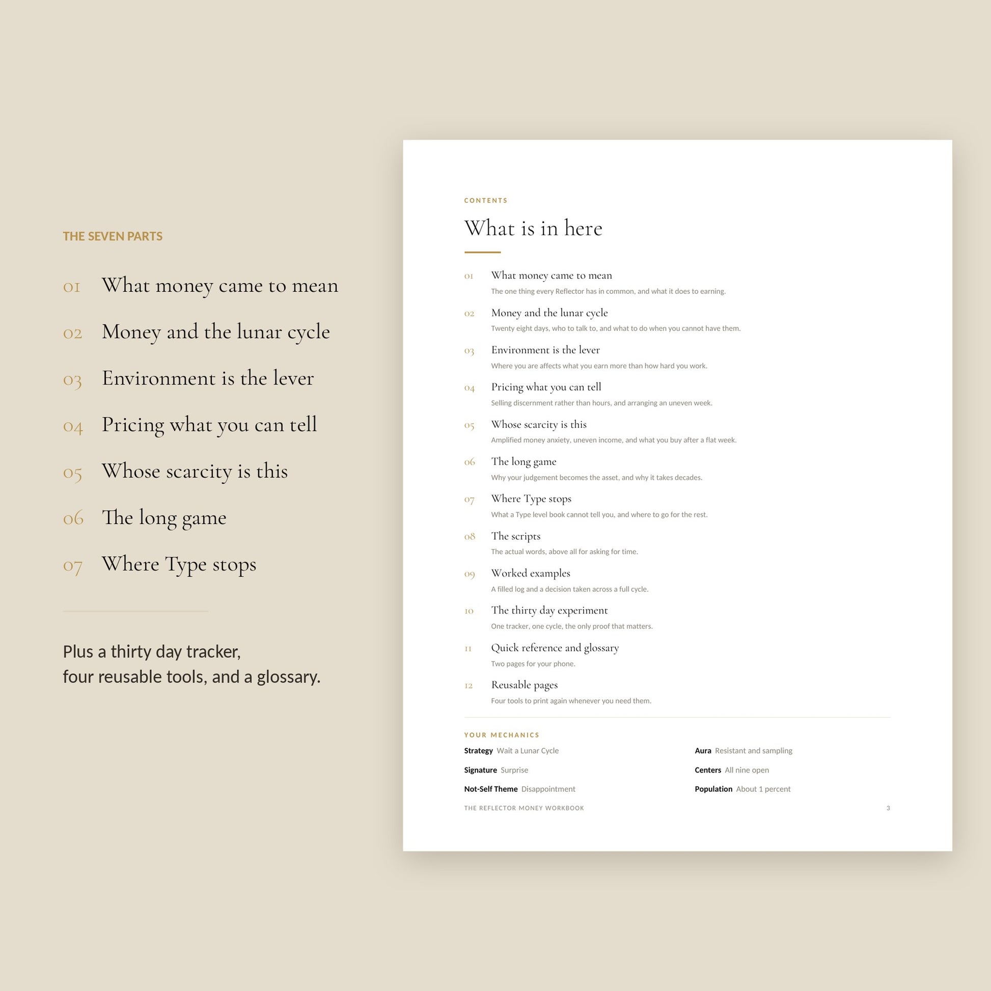 Human Design Reflector Money Workbook, contents