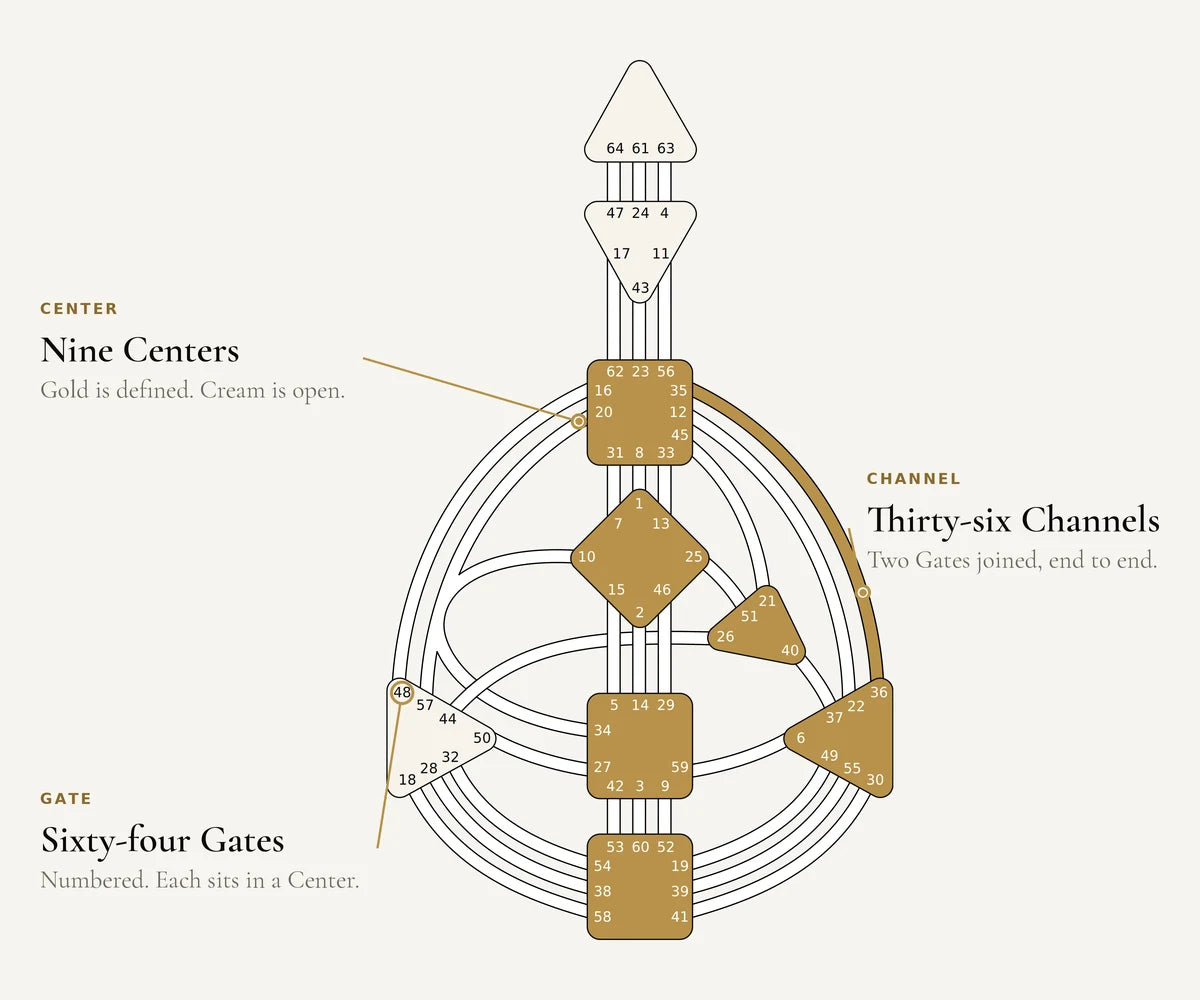 A Human Design BodyGraph with three parts labeled: a Center, a Channel and a Gate. Gold Centers are defined, cream Centers are open.